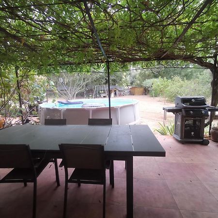 T2 indépendant terrasse et piscine au calme Var sud de la France Flassans-sur-Issole Exterior foto